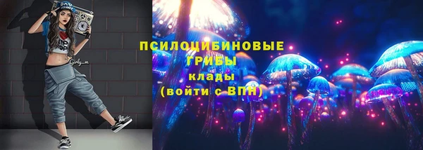 скорость Богородск