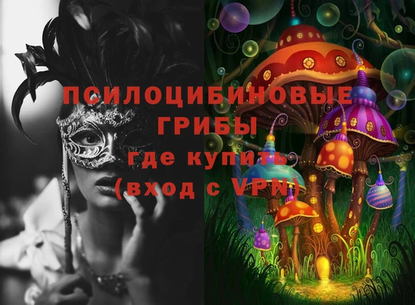 дурь Богородицк