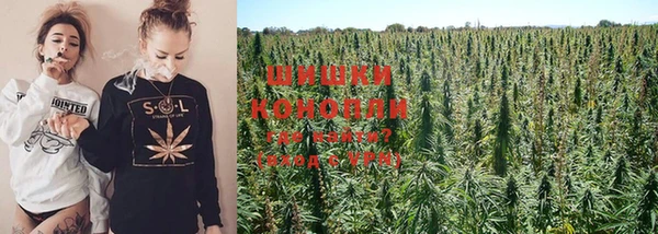 дурь Богородицк
