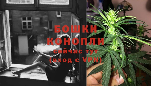 дурь Богородицк