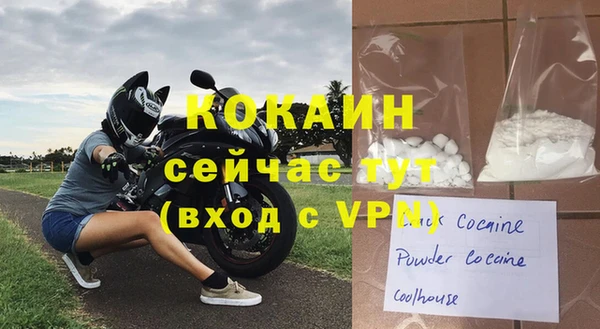гидра Бородино
