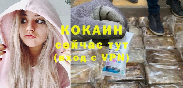 дурь Богородицк