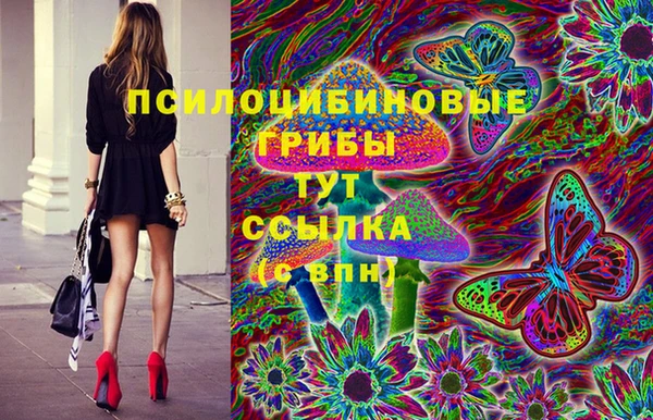 скорость Богородск