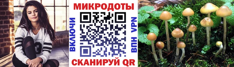 Галлюциногенные грибы MAGIC MUSHROOMS  mega ссылки  Вельск 